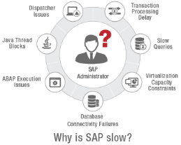 why is sap slow