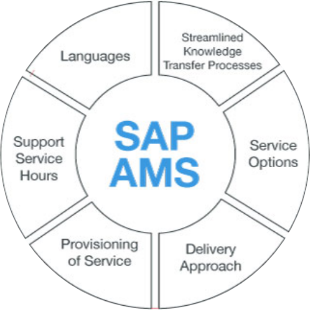sap ams